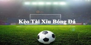 tong quan ve soi keo tai xiu